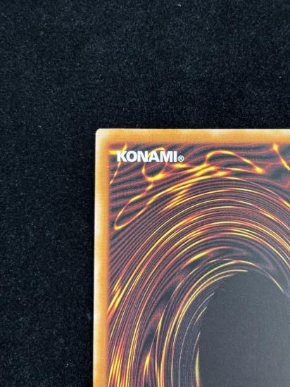 【状態B】●(アジア英語)HOUSE DRAGONMAID(SLF1-AE072)(QCSE)