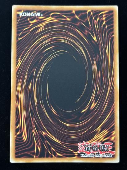 【状態A】●(EU版)BLACKWING-KALUT THE MOON SHADOW(RA03-EN217)(Platinum)