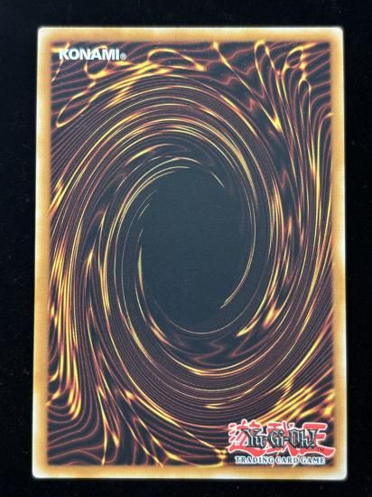 【状態A】●(EU版)CAIUS THE SHADOW MONARCH(RA03-EN194)(Platinum)