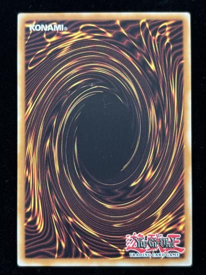 【状態B】●(北米版)NATURIA EXTERIO(HA04-EN055)(SE)