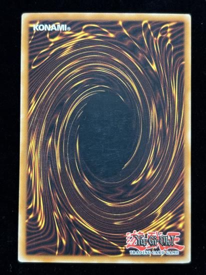 【状態C】●(北米版)SABERSAURUS(POTD-EN002)(N)