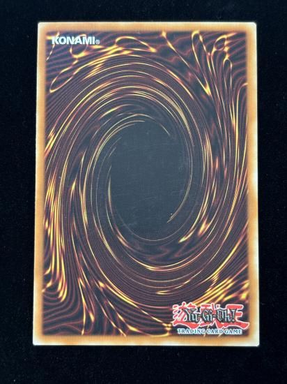 【状態C】●(北米版)THUNDER KING RAI-OH(GLD3-EN020)(GR)