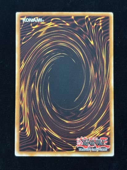 【状態C】●(北米版)D.D. SURVIVOR(TLM-EN023)(UL)