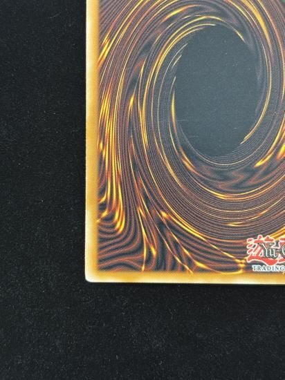 【状態C】●(北米版)SUPERANCIENT DEEPSEA KING COELACANTH(PTDN-EN034)(UL)