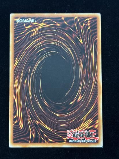 【状態C】●(EU版)RYKO, LIGHTSWORN HUNTER(PGLD-EN086)(GR)