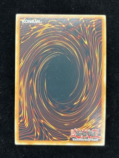 【状態B】●(EU版)SKILL DRAIN(RA02-EN077)(UL)