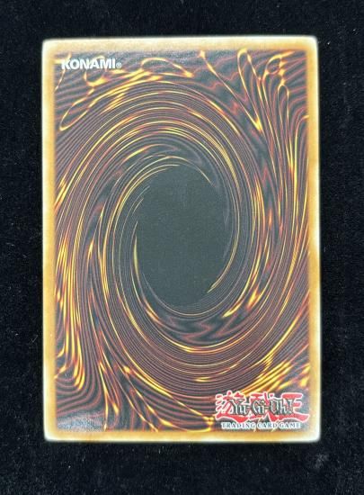 【状態C】●(北米版)GRAPHA,DRAGON LORD OF DARK WORLD(GLD5-EN028)(GR)