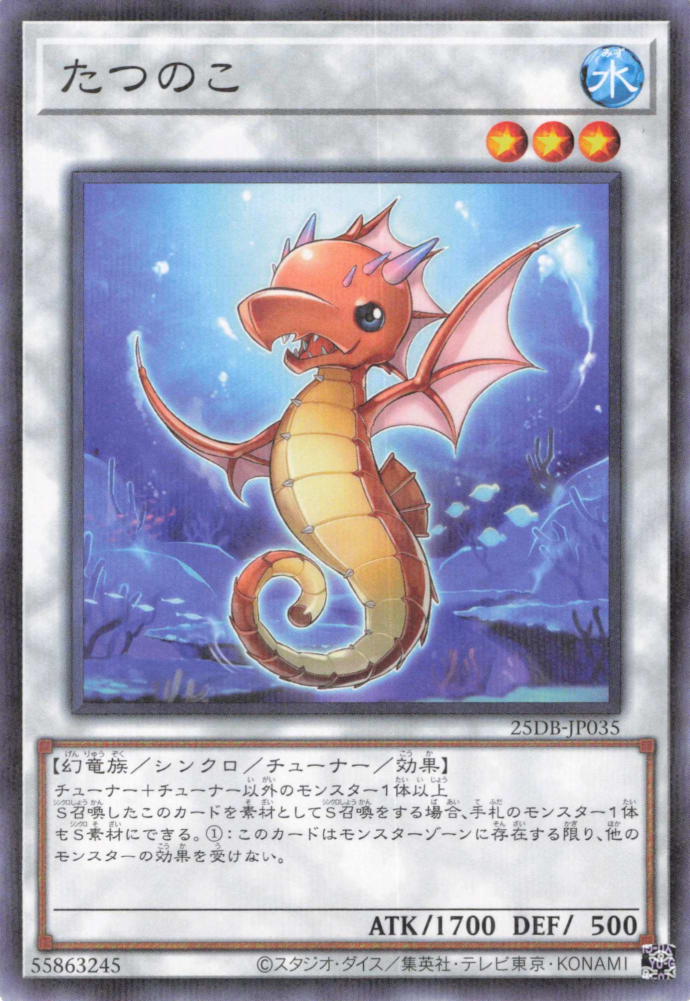 たつのこ【N+P】〈25DB-JP035〉